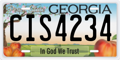 GA license plate CIS4234