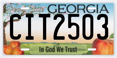 GA license plate CIT2503