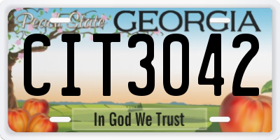 GA license plate CIT3042