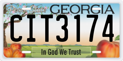 GA license plate CIT3174