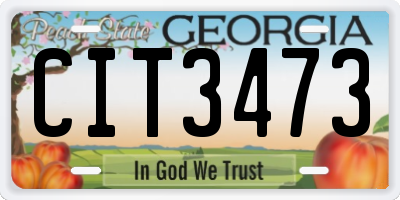 GA license plate CIT3473