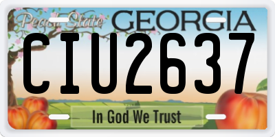 GA license plate CIU2637