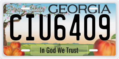 GA license plate CIU6409