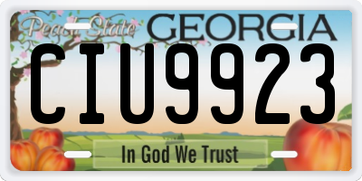 GA license plate CIU9923