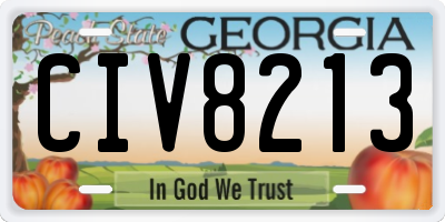 GA license plate CIV8213