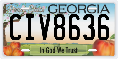 GA license plate CIV8636