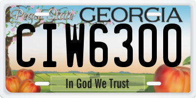 GA license plate CIW6300