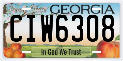 GA license plate CIW6308