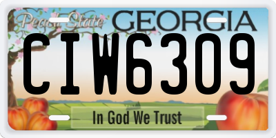 GA license plate CIW6309