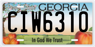 GA license plate CIW6310