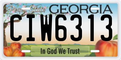 GA license plate CIW6313