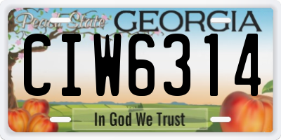 GA license plate CIW6314