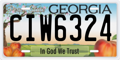 GA license plate CIW6324