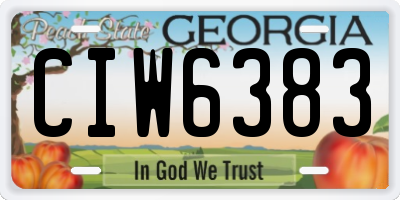 GA license plate CIW6383