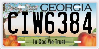 GA license plate CIW6384