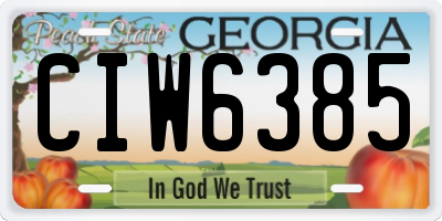 GA license plate CIW6385