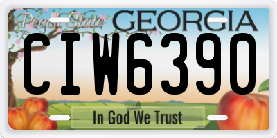 GA license plate CIW6390