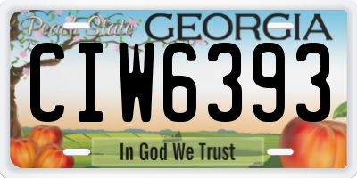 GA license plate CIW6393