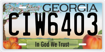 GA license plate CIW6403