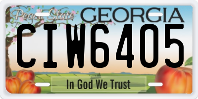 GA license plate CIW6405