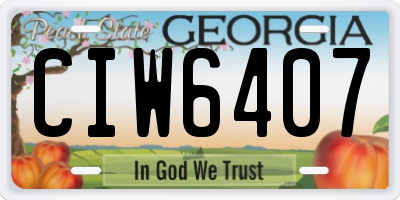 GA license plate CIW6407