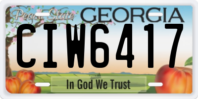 GA license plate CIW6417