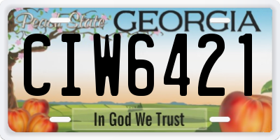 GA license plate CIW6421