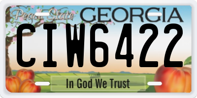 GA license plate CIW6422