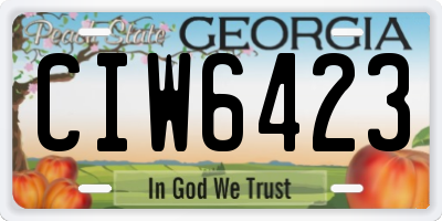 GA license plate CIW6423