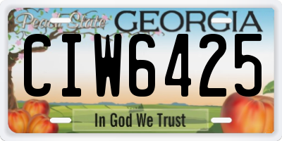 GA license plate CIW6425