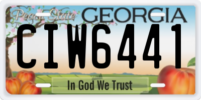 GA license plate CIW6441