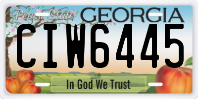 GA license plate CIW6445