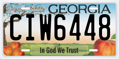 GA license plate CIW6448