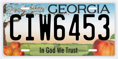 GA license plate CIW6453