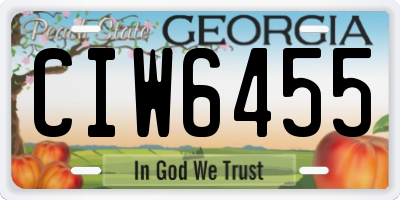 GA license plate CIW6455