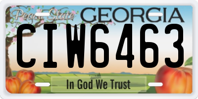 GA license plate CIW6463