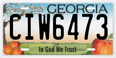 GA license plate CIW6473