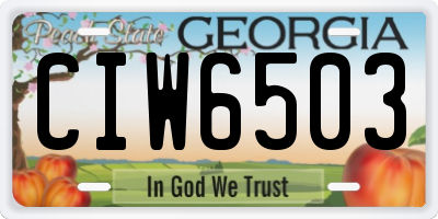 GA license plate CIW6503