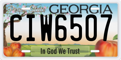 GA license plate CIW6507