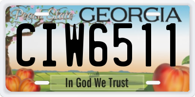 GA license plate CIW6511