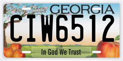 GA license plate CIW6512