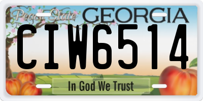 GA license plate CIW6514