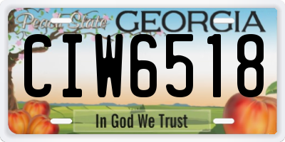 GA license plate CIW6518