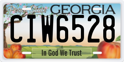 GA license plate CIW6528