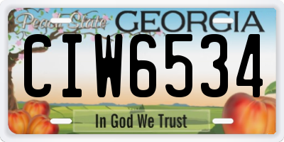 GA license plate CIW6534