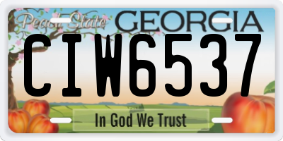 GA license plate CIW6537