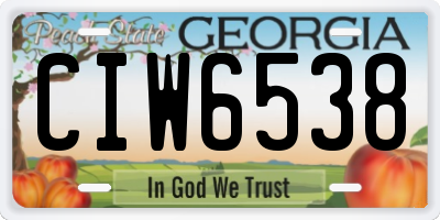GA license plate CIW6538