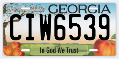 GA license plate CIW6539