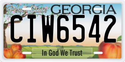 GA license plate CIW6542