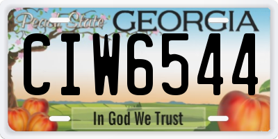 GA license plate CIW6544